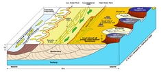 Morphology of Khor Al Bazam Coast